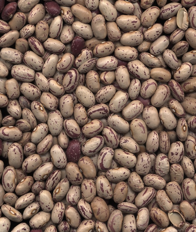 Pinto Beans Close Up