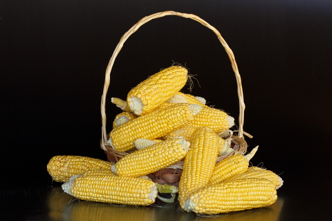 Corn Basket